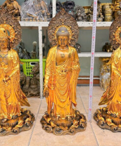 Tuong dong tay phuong tam thanh dat vang